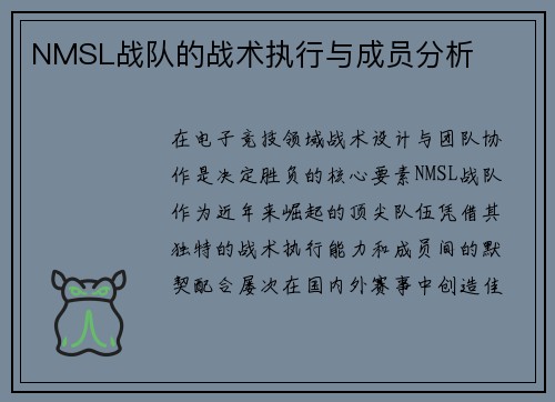 NMSL战队的战术执行与成员分析