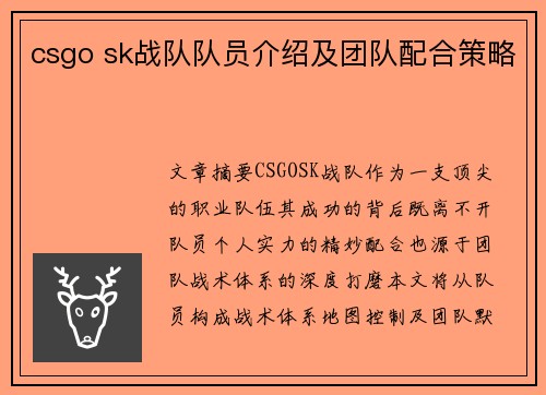 csgo sk战队队员介绍及团队配合策略